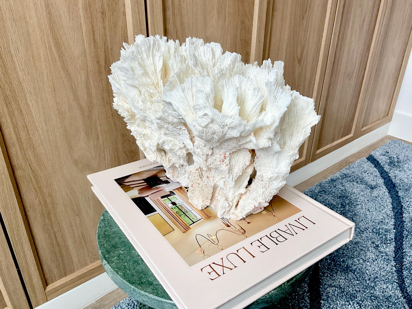 Natural Lettuce Coral Fossil: 11" x 8.5" x 8" Coastal Beach House White Décor