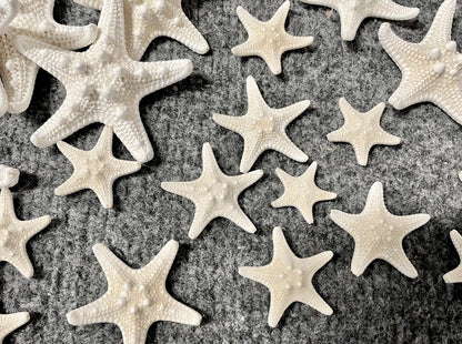 Knobby Starfish 1-10" *You Choose Size* White Crafts & Coastal Décor