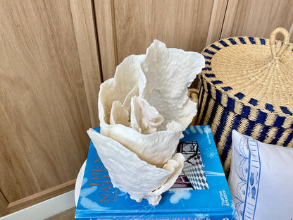 Natural Cup Coral Fossil: 8" x 5" x 10" Coastal Beach House White Décor