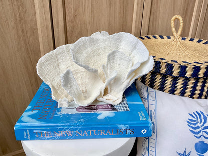 Natural Poca Coral Fossil: 9.5" x 5" x 6" Coastal Beach House White Décor