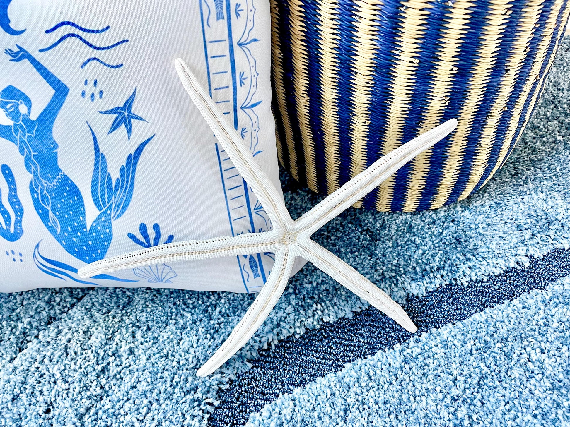 Extra Large 14-16" White Linkia Pencil Finger Starfish Natural Coastal Décor