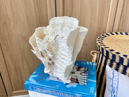 Natural Cup Coral Fossil: 8" x 5" x 10" Coastal Beach House White Décor