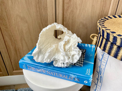 Natural Poca Coral Fossil: 6.5" x 6" x 6" Coastal Beach House White Décor