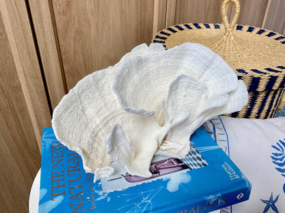 Natural Poca Coral Fossil: 9.5" x 5" x 6" Coastal Beach House White Décor