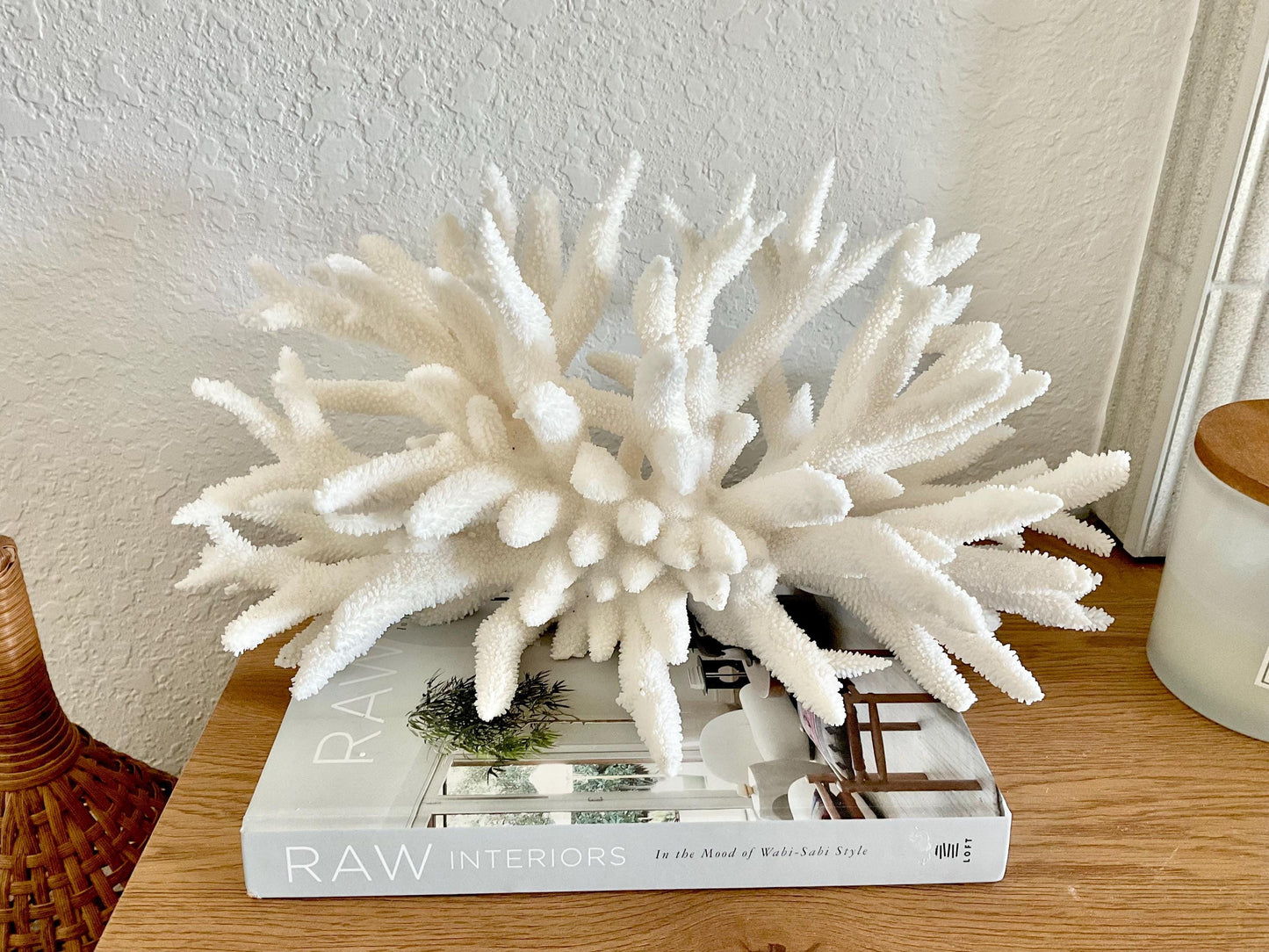 Extra LARGE 100% Natural Oversized BRANCH Coral Fossil 17" x 9" x 8" XL Specimen Coastal Display Beach House Décor Centerpiece White