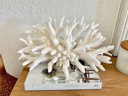 Extra LARGE 100% Natural Oversized BRANCH Coral Fossil 17" x 9" x 8" XL Specimen Coastal Display Beach House Décor Centerpiece White
