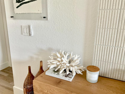Extra LARGE 100% Natural Oversized BRANCH Coral Fossil 17" x 9" x 8" XL Specimen Coastal Display Beach House Décor Centerpiece White