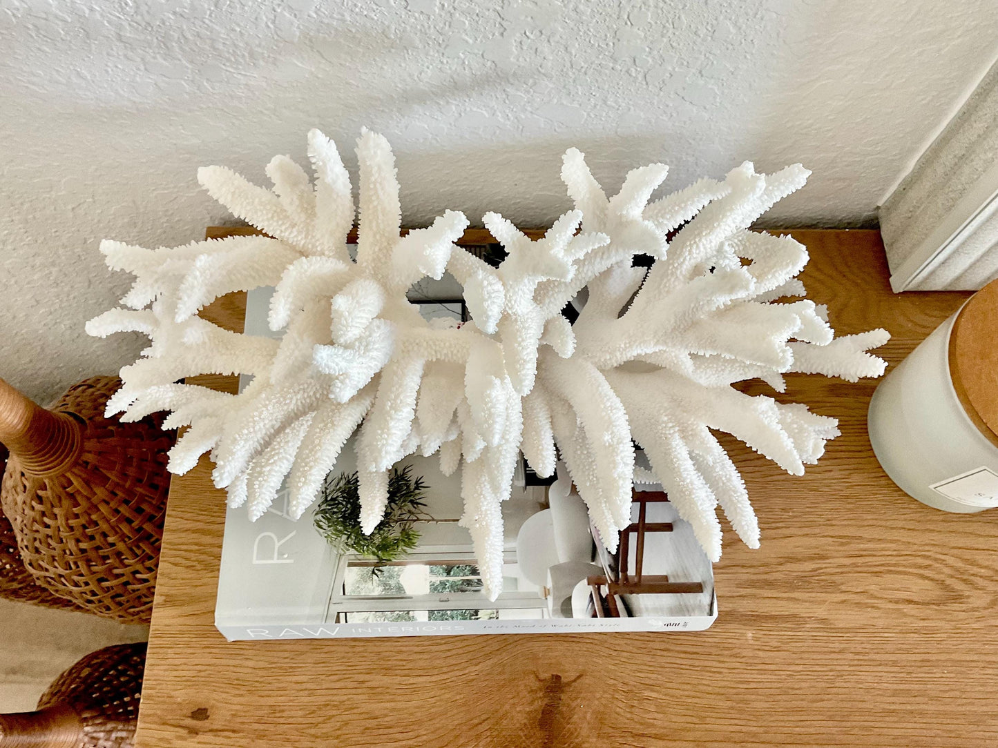 Extra LARGE 100% Natural Oversized BRANCH Coral Fossil 17" x 9" x 8" XL Specimen Coastal Display Beach House Décor Centerpiece White