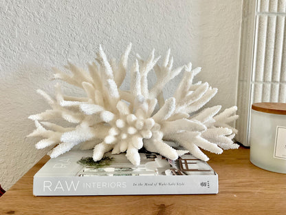 Extra LARGE 100% Natural Oversized BRANCH Coral Fossil 17" x 9" x 8" XL Specimen Coastal Display Beach House Décor Centerpiece White