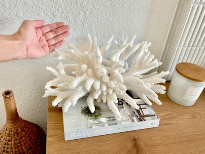 Extra LARGE 100% Natural Oversized BRANCH Coral Fossil 17" x 9" x 8" XL Specimen Coastal Display Beach House Décor Centerpiece White