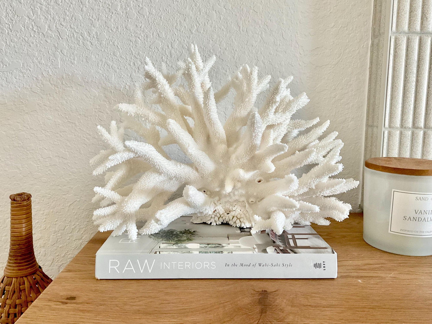 Extra LARGE 100% Natural Oversized BRANCH Coral Fossil 15" x 10" x 10" XL Specimen Coastal Display Beach House Décor Centerpiece White