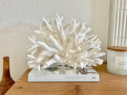 Extra LARGE 100% Natural Oversized BRANCH Coral Fossil 15" x 10" x 10" XL Specimen Coastal Display Beach House Décor Centerpiece White
