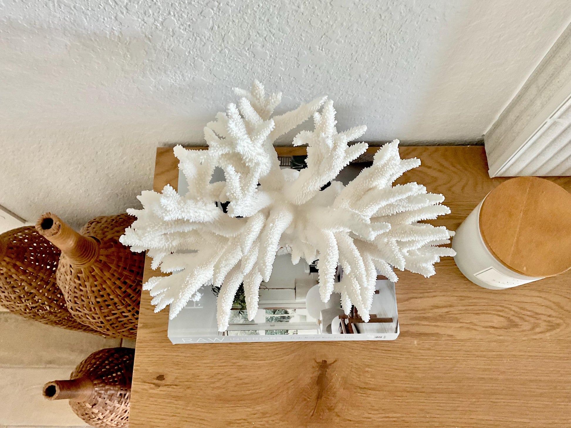 Extra LARGE 100% Natural Oversized BRANCH Coral Fossil 15" x 10" x 10" XL Specimen Coastal Display Beach House Décor Centerpiece White