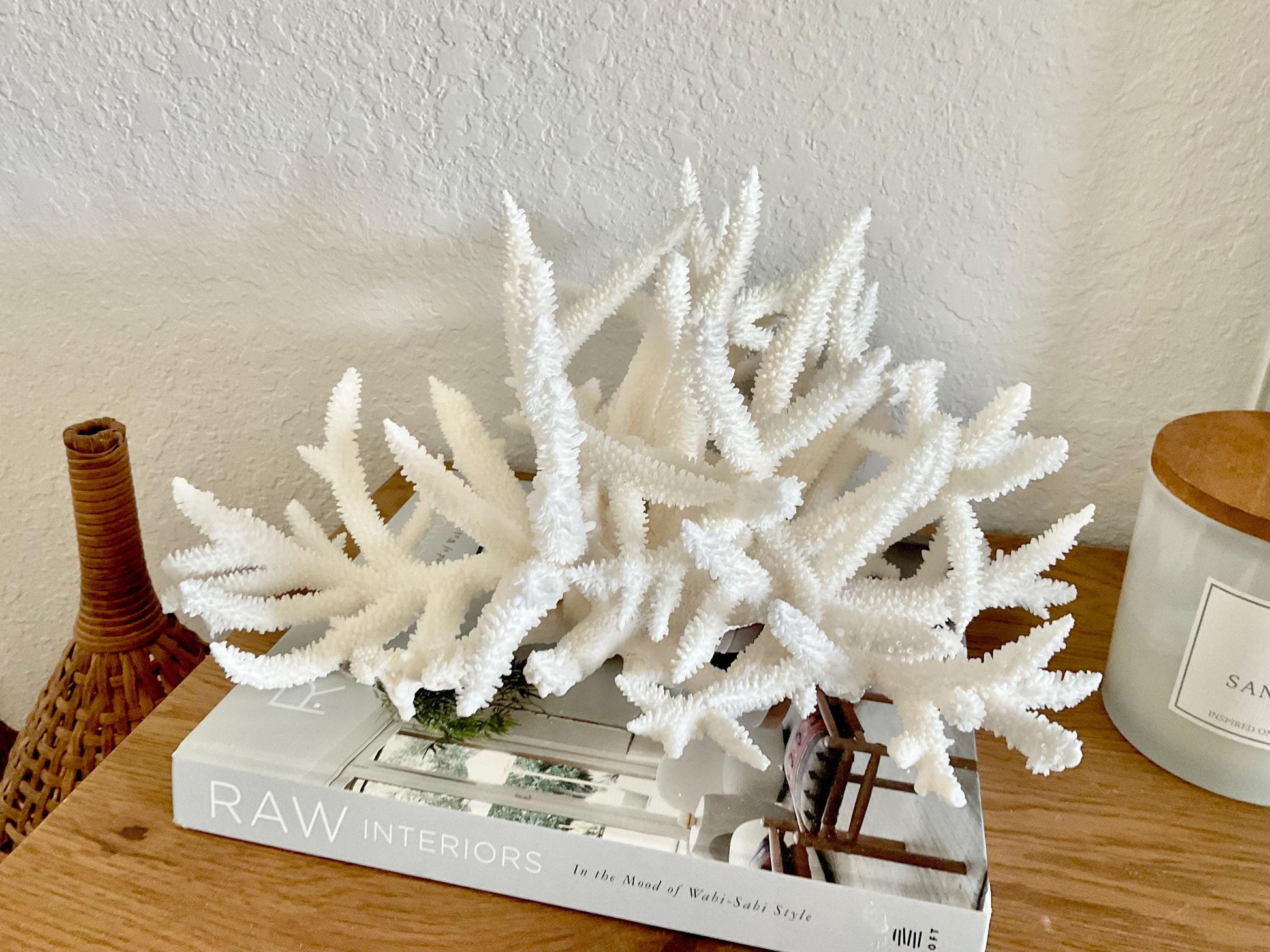 Extra LARGE 100% Natural Oversized BRANCH Coral Fossil 15" x 12" x 8.5" XL Specimen Coastal Display Beach House Décor Centerpiece White