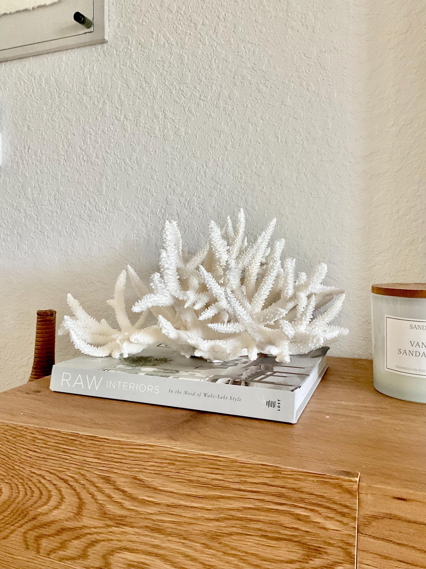 Extra LARGE 100% Natural Oversized BRANCH Coral Fossil 15" x 12" x 8.5" XL Specimen Coastal Display Beach House Décor Centerpiece White