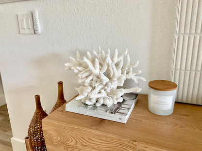 Extra LARGE 100% Natural Oversized BRANCH Coral Fossil 15.5" x 12" x 10" XL Specimen Coastal Display Beach House Décor Centerpiece White