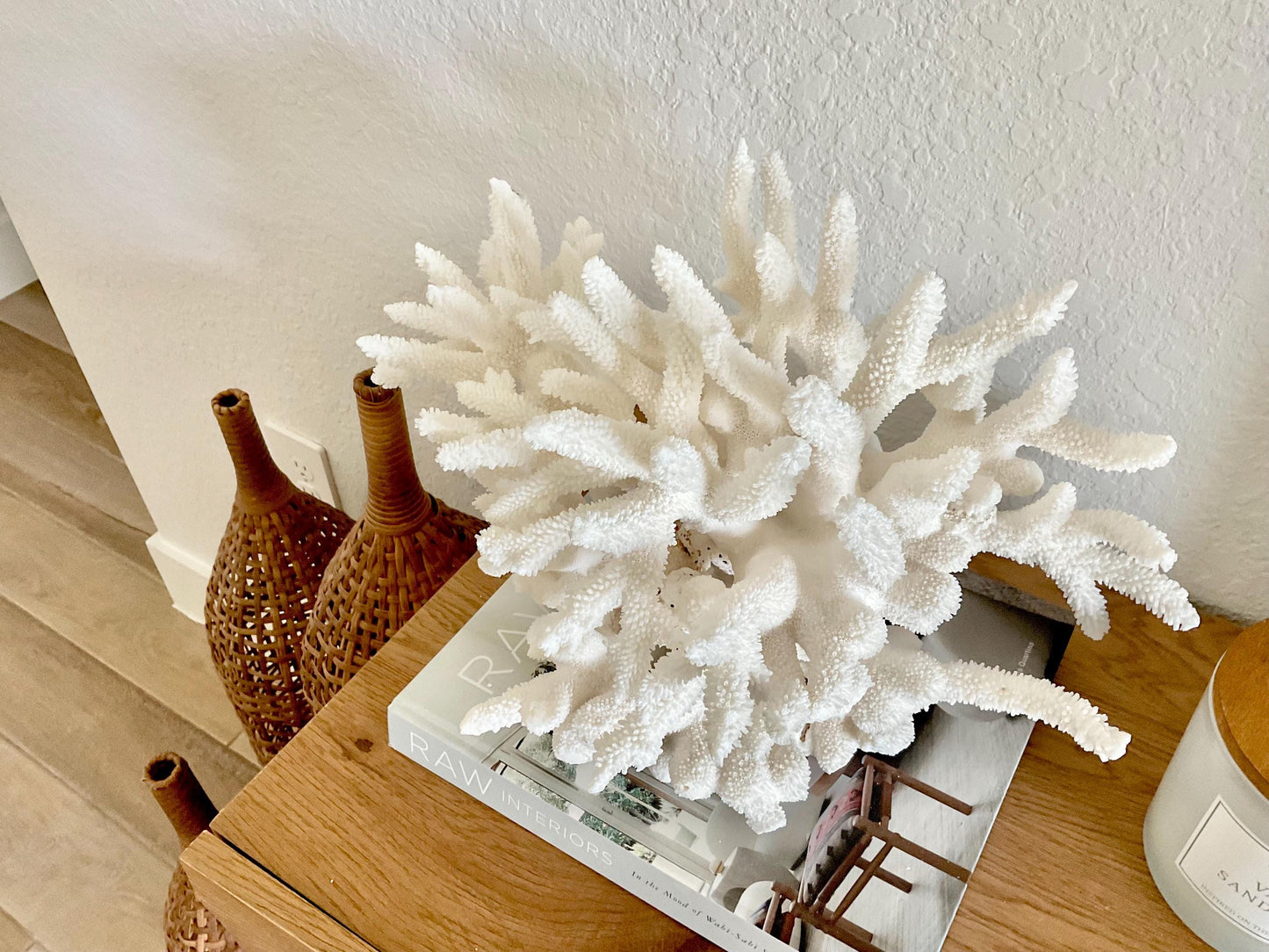 Extra LARGE 100% Natural Oversized BRANCH Coral Fossil 15.5" x 12" x 10" XL Specimen Coastal Display Beach House Décor Centerpiece White