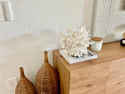 Extra LARGE 100% Natural Oversized BRANCH Coral Fossil 15.5" x 12" x 10" XL Specimen Coastal Display Beach House Décor Centerpiece White
