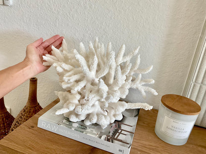 Extra LARGE 100% Natural Oversized BRANCH Coral Fossil 15.5" x 12" x 10" XL Specimen Coastal Display Beach House Décor Centerpiece White