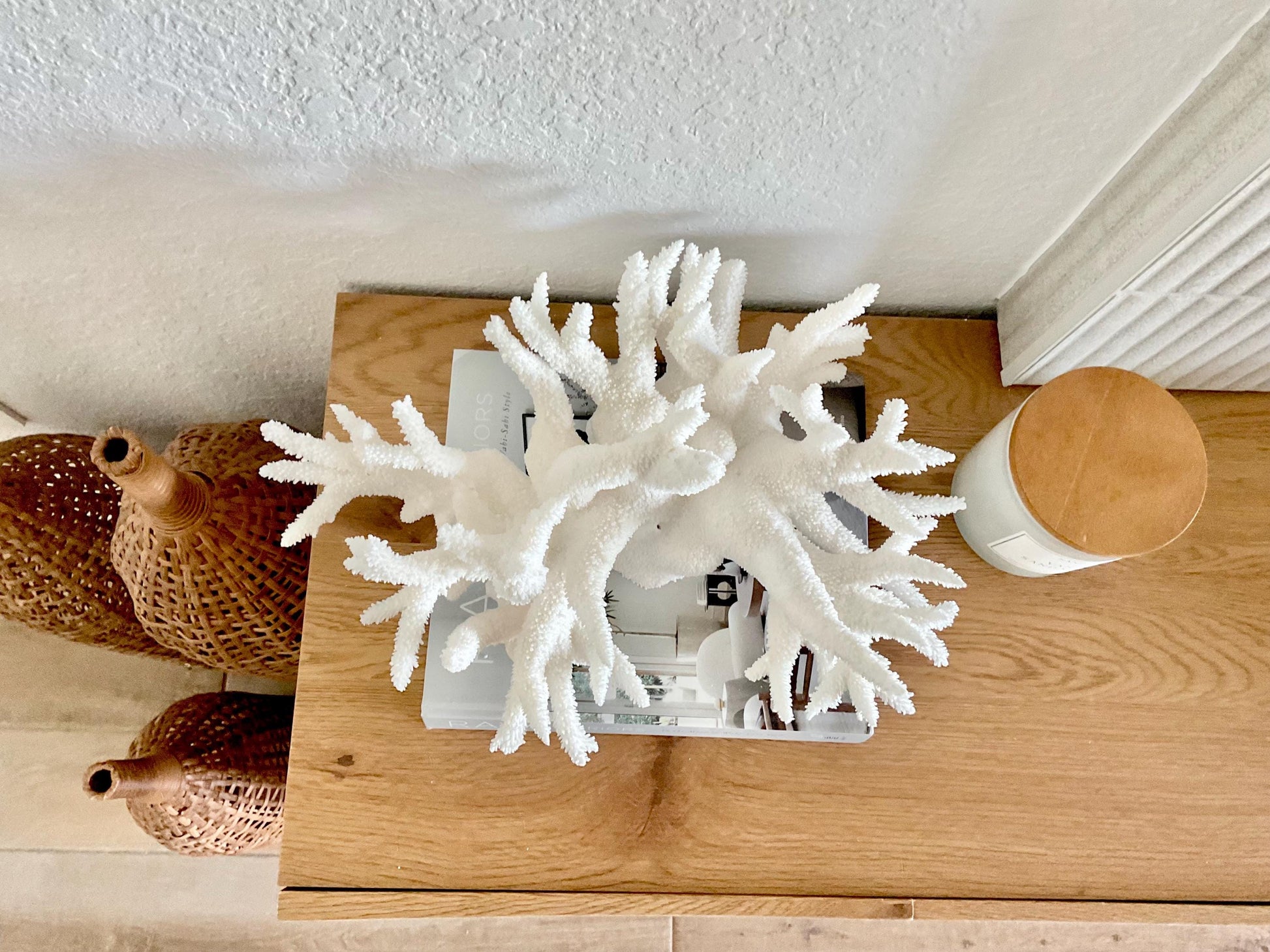 Extra LARGE 100% Natural Oversized BRANCH Coral Fossil 17" x 12" x 9" XL Specimen Coastal Display Beach House Décor Centerpiece White
