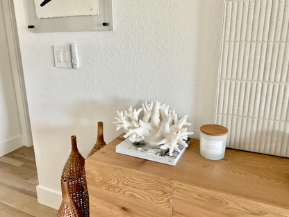 Extra LARGE 100% Natural Oversized BRANCH Coral Fossil 17" x 12" x 9" XL Specimen Coastal Display Beach House Décor Centerpiece White