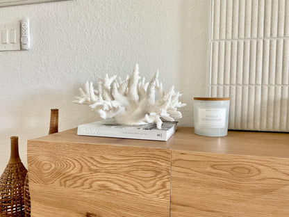 Extra LARGE 100% Natural Oversized BRANCH Coral Fossil 17" x 12" x 9" XL Specimen Coastal Display Beach House Décor Centerpiece White