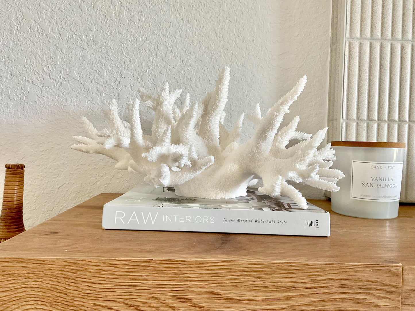 Extra LARGE 100% Natural Oversized BRANCH Coral Fossil 17" x 12" x 9" XL Specimen Coastal Display Beach House Décor Centerpiece White