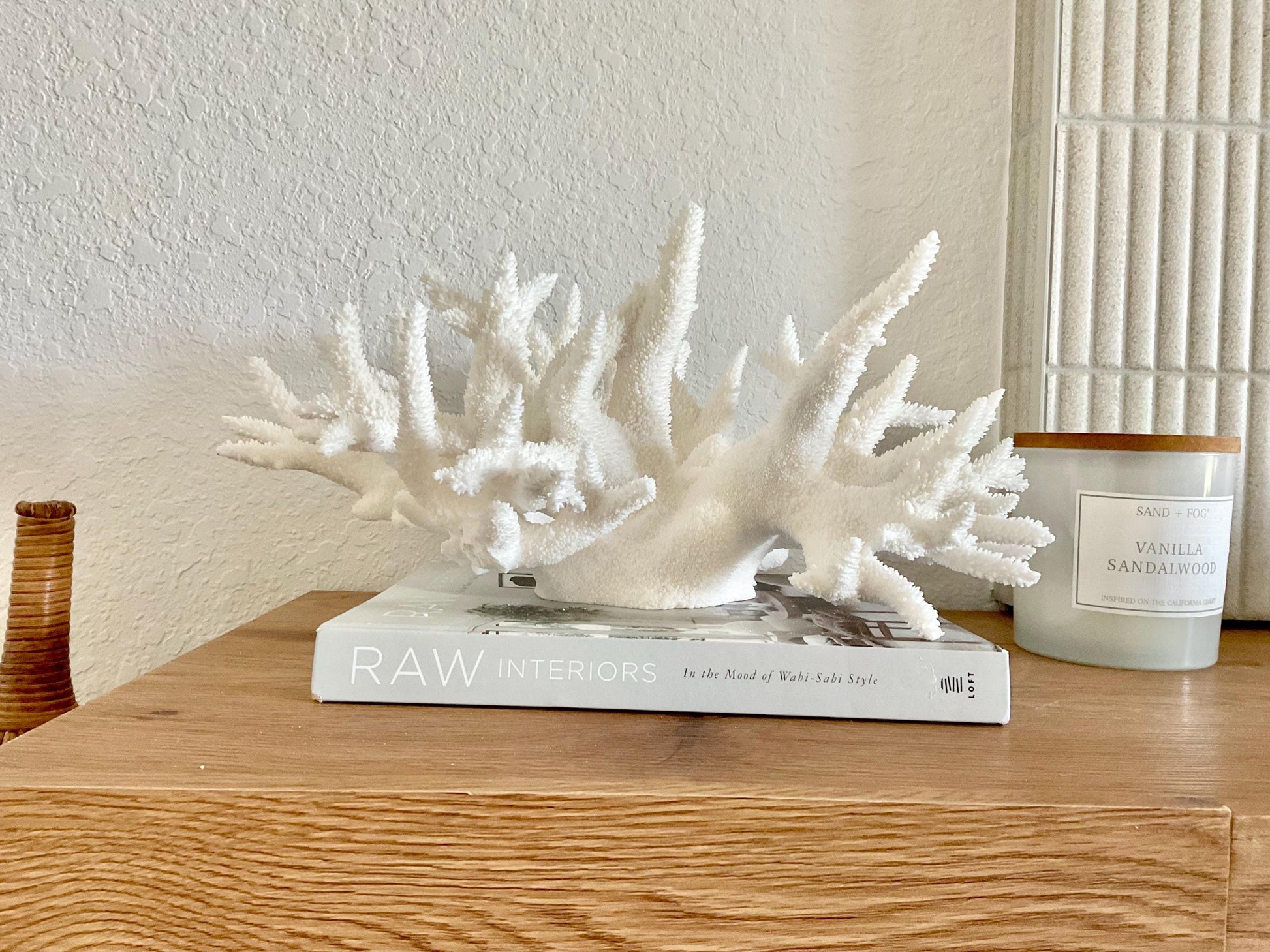 Extra LARGE 100% Natural Oversized BRANCH Coral Fossil 17" x 12" x 9" XL Specimen Coastal Display Beach House Décor Centerpiece White
