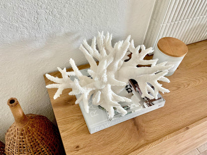 Extra LARGE 100% Natural Oversized BRANCH Coral Fossil 17" x 12" x 9" XL Specimen Coastal Display Beach House Décor Centerpiece White