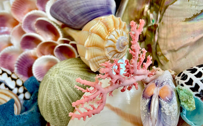 Pink Stylaster Coral Branches 1.5"-3.5" Pieces, You Choose Piece, Coastal Craft & Décor