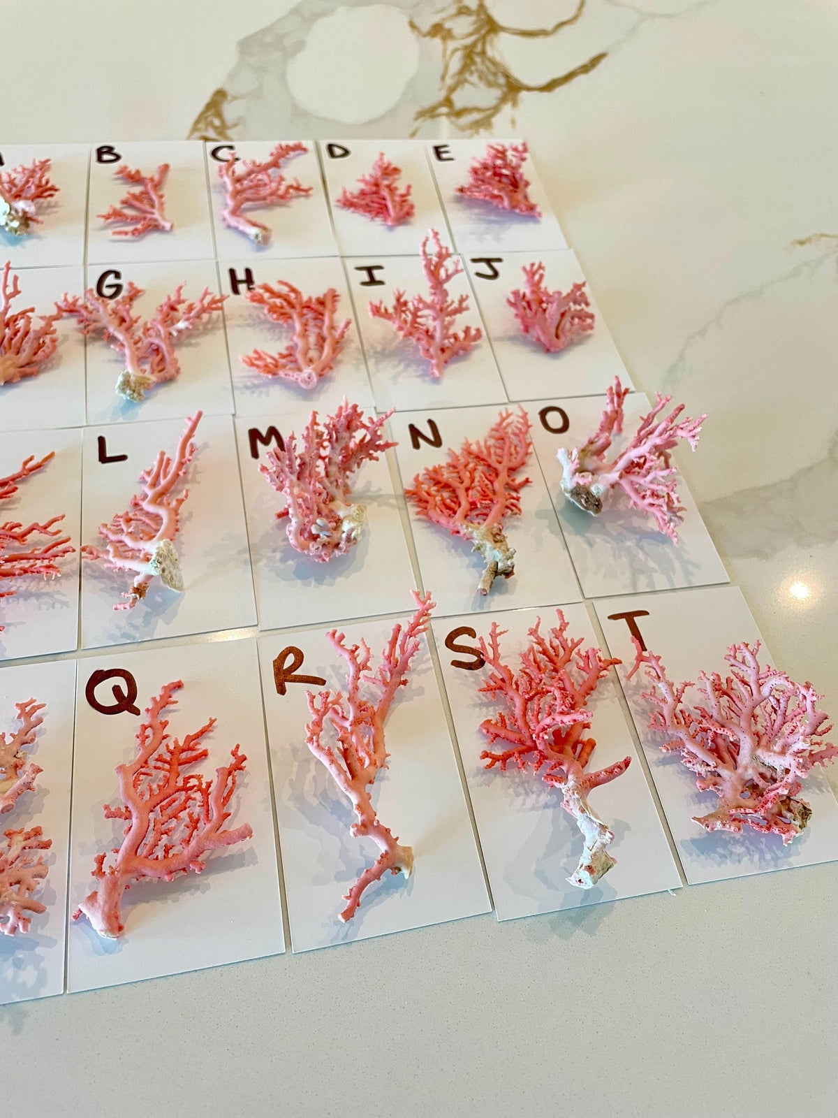 Pink Stylaster Coral Branches 1.5"-3.5" Pieces, You Choose Piece, Coastal Craft & Décor