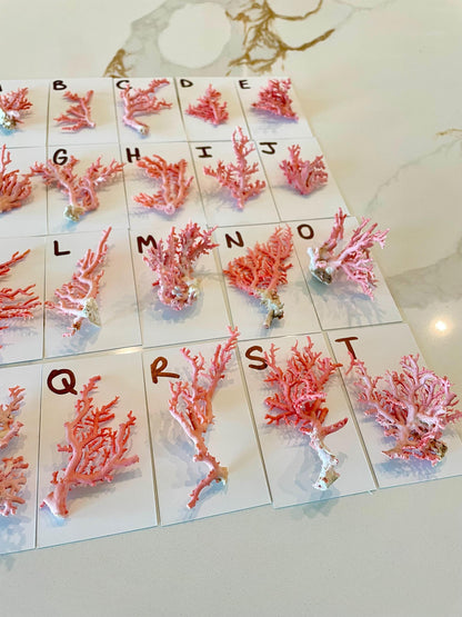 Pink Stylaster Coral Branches 1.5"-3.5" Pieces, You Choose Piece, Coastal Craft & Décor
