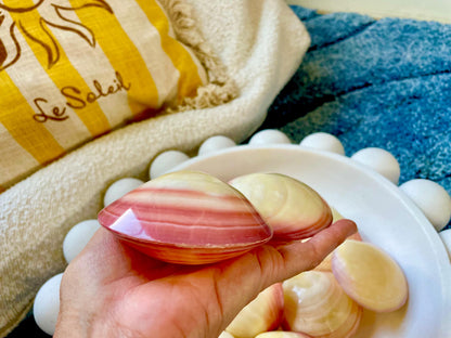 Polished Yellow Pink Clam Shells, 3-3.5", You choose Quantity, Paired Shells Craft Seashells