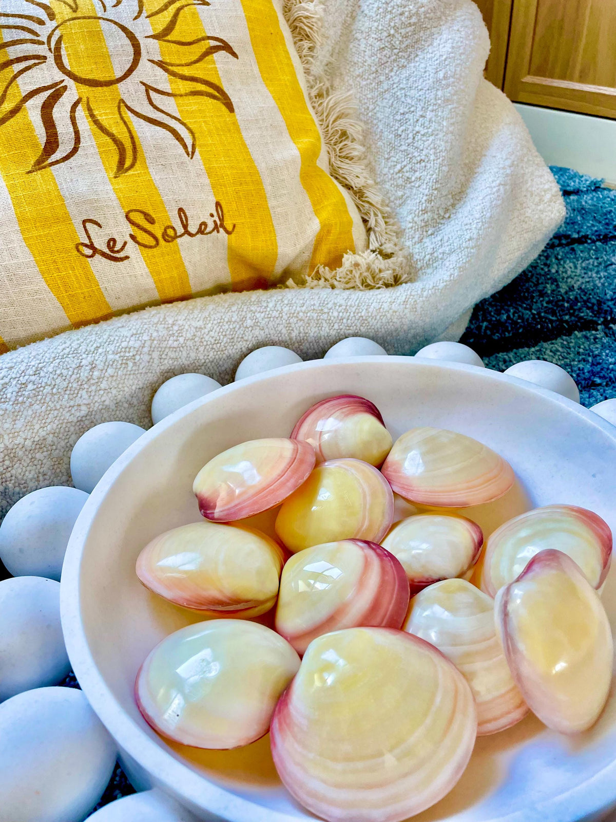 Polished Yellow Pink Clam Shells, 3-3.5", You choose Quantity, Paired Shells Craft Seashells