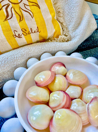 Polished Yellow Pink Clam Shells, 3-3.5", You choose Quantity, Paired Shells Craft Seashells