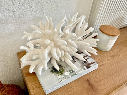 Extra LARGE 100% Natural Oversized BRANCH Coral Fossil 17" x 9" x 8" XL Specimen Coastal Display Beach House Décor Centerpiece White
