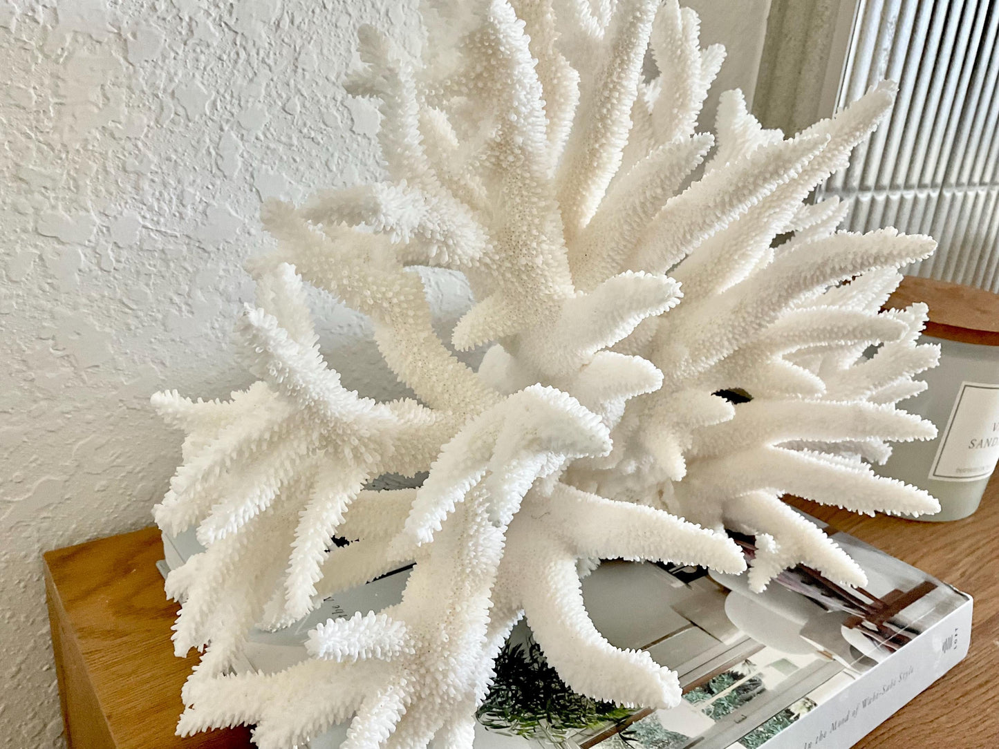 Extra LARGE 100% Natural Oversized BRANCH Coral Fossil 15" x 10" x 10" XL Specimen Coastal Display Beach House Décor Centerpiece White