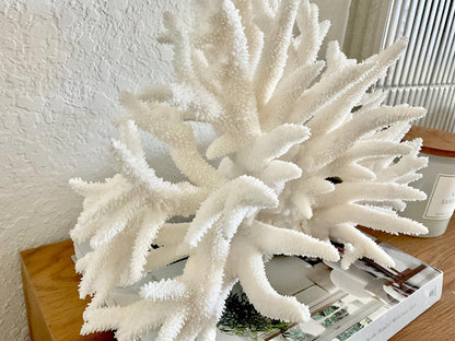 Extra LARGE 100% Natural Oversized BRANCH Coral Fossil 15" x 10" x 10" XL Specimen Coastal Display Beach House Décor Centerpiece White
