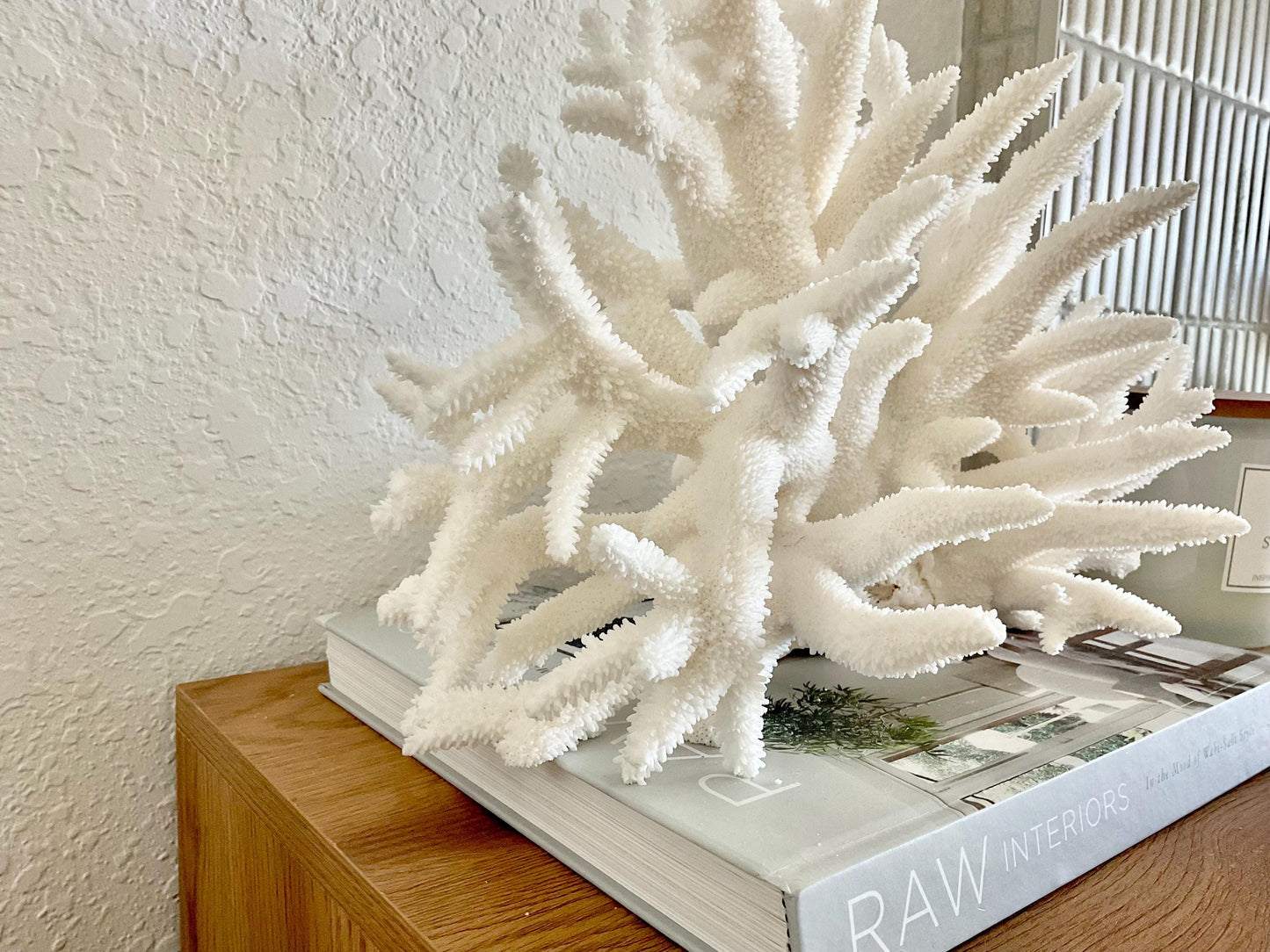 Extra LARGE 100% Natural Oversized BRANCH Coral Fossil 15" x 10" x 10" XL Specimen Coastal Display Beach House Décor Centerpiece White