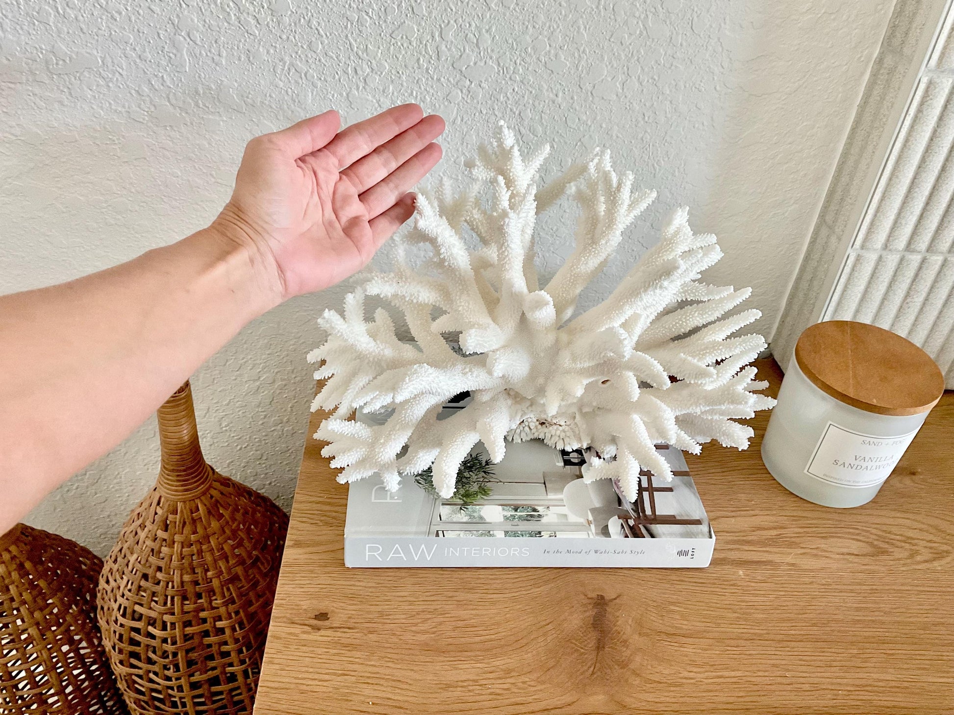 Extra LARGE 100% Natural Oversized BRANCH Coral Fossil 15" x 10" x 10" XL Specimen Coastal Display Beach House Décor Centerpiece White