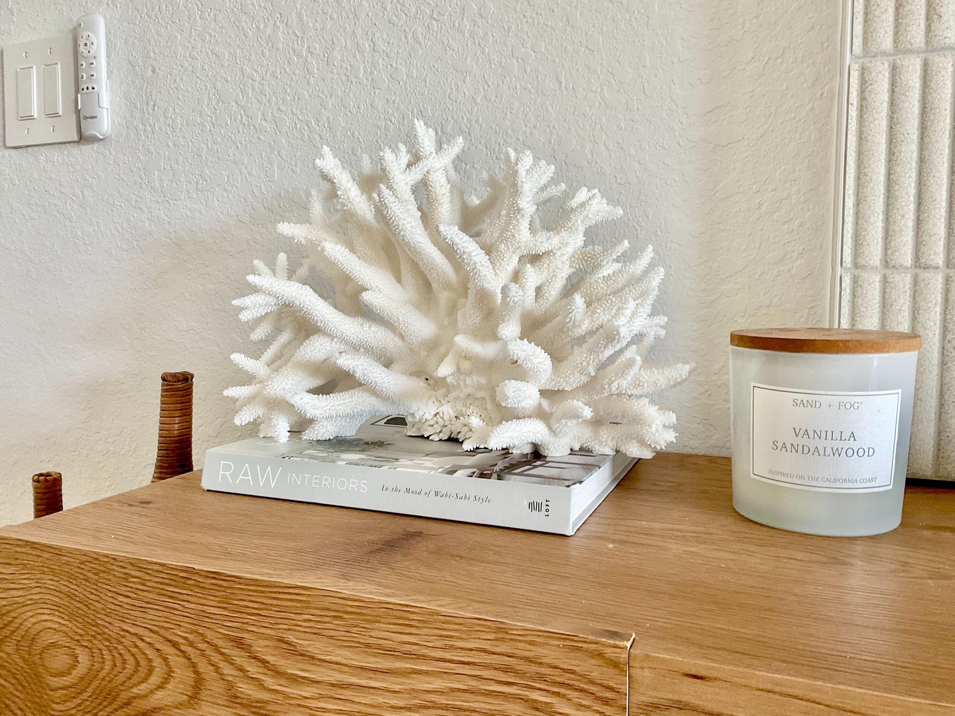 Extra LARGE 100% Natural Oversized BRANCH Coral Fossil 15" x 10" x 10" XL Specimen Coastal Display Beach House Décor Centerpiece White