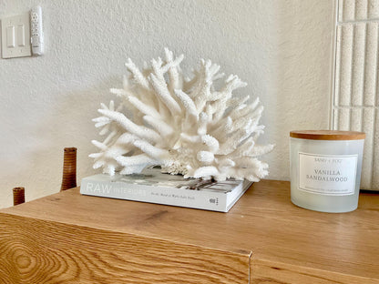 Extra LARGE 100% Natural Oversized BRANCH Coral Fossil 15" x 10" x 10" XL Specimen Coastal Display Beach House Décor Centerpiece White
