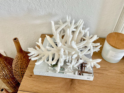 Extra LARGE 100% Natural Oversized BRANCH Coral Fossil 15" x 12" x 8.5" XL Specimen Coastal Display Beach House Décor Centerpiece White