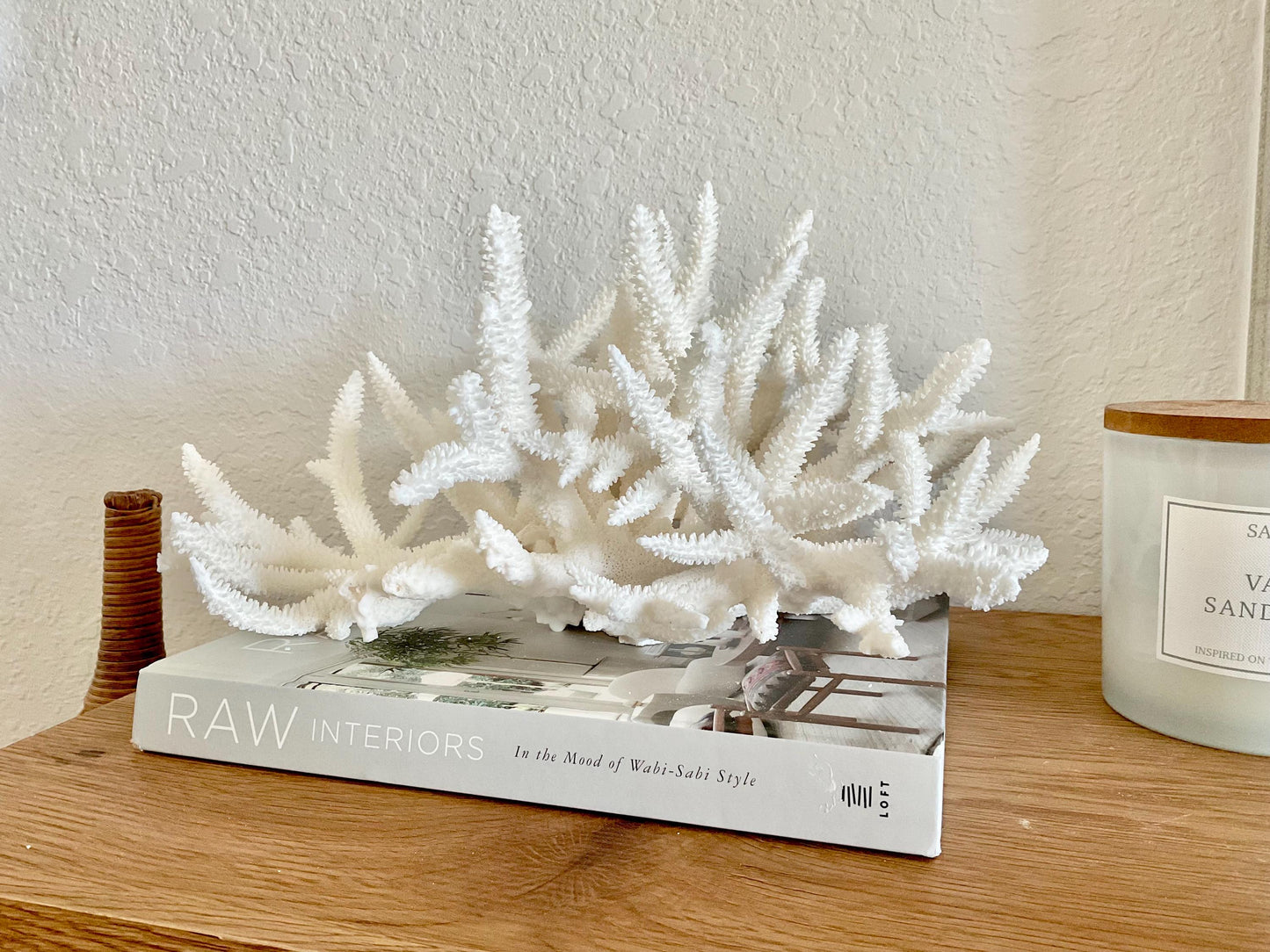 Extra LARGE 100% Natural Oversized BRANCH Coral Fossil 15" x 12" x 8.5" XL Specimen Coastal Display Beach House Décor Centerpiece White