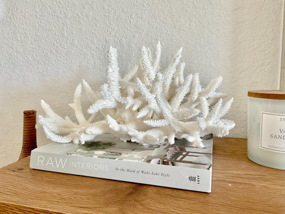 Extra LARGE 100% Natural Oversized BRANCH Coral Fossil 15" x 12" x 8.5" XL Specimen Coastal Display Beach House Décor Centerpiece White