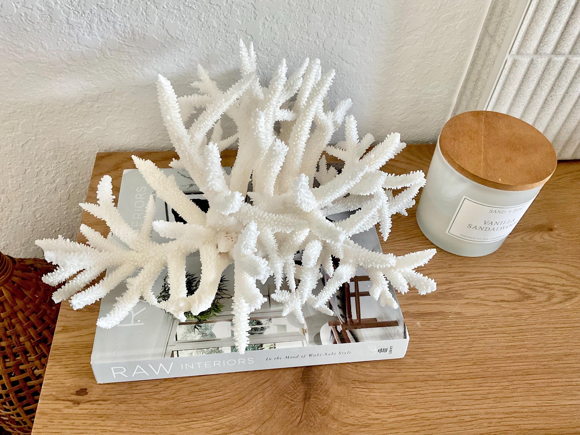 Extra LARGE 100% Natural Oversized BRANCH Coral Fossil 15" x 12" x 8.5" XL Specimen Coastal Display Beach House Décor Centerpiece White