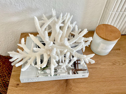 Extra LARGE 100% Natural Oversized BRANCH Coral Fossil 15" x 12" x 8.5" XL Specimen Coastal Display Beach House Décor Centerpiece White