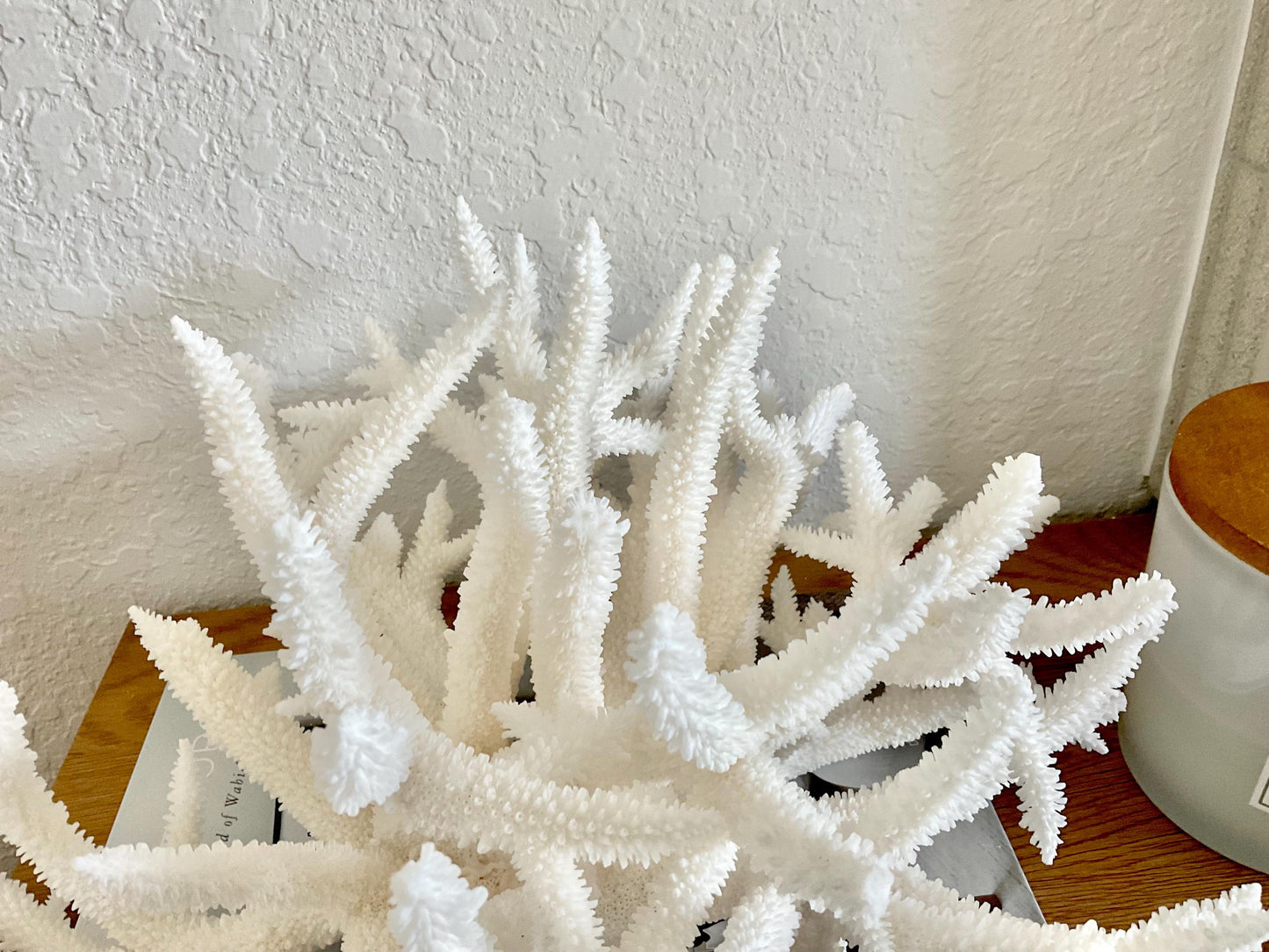 Extra LARGE 100% Natural Oversized BRANCH Coral Fossil 15" x 12" x 8.5" XL Specimen Coastal Display Beach House Décor Centerpiece White
