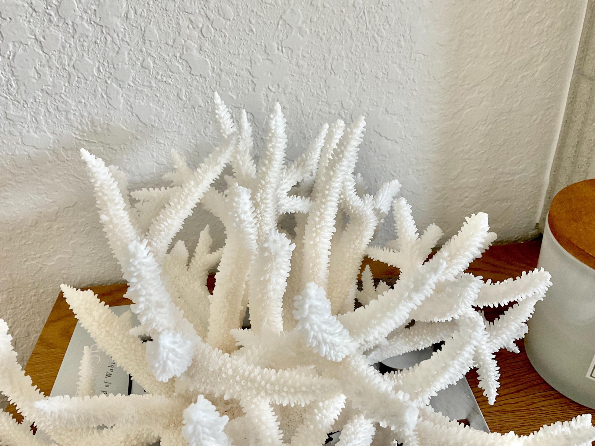 Extra LARGE 100% Natural Oversized BRANCH Coral Fossil 15" x 12" x 8.5" XL Specimen Coastal Display Beach House Décor Centerpiece White