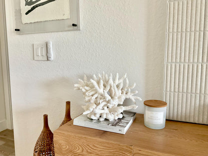 Extra LARGE 100% Natural Oversized BRANCH Coral Fossil 15.5" x 12" x 10" XL Specimen Coastal Display Beach House Décor Centerpiece White
